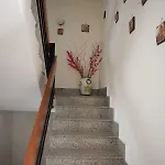 Area Domus بومبيي