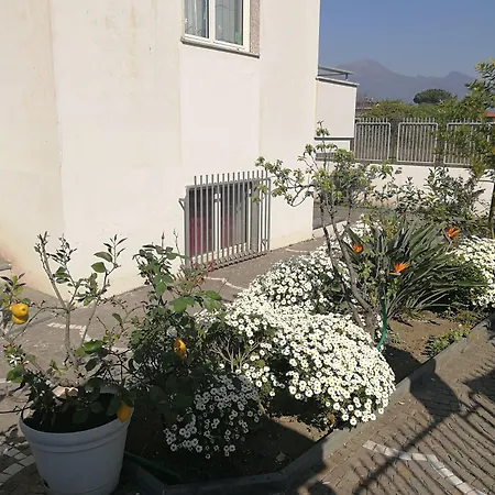לינה וארוחת בוקר Area Domus