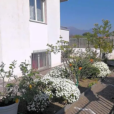Area Domus فندق مبيت وإفطار بومبيي