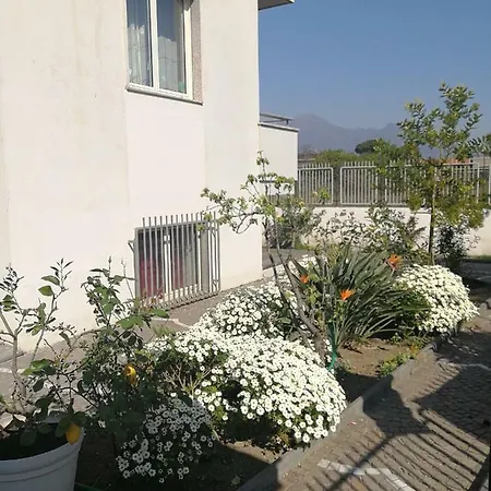 Nocleg ze śniadaniem Area Domus 2*
